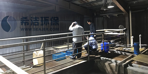 bbin宝盈铬废水重金属捕捉处理工艺