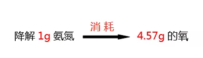 氨氮降解所需氧的比值_bbin宝盈环保